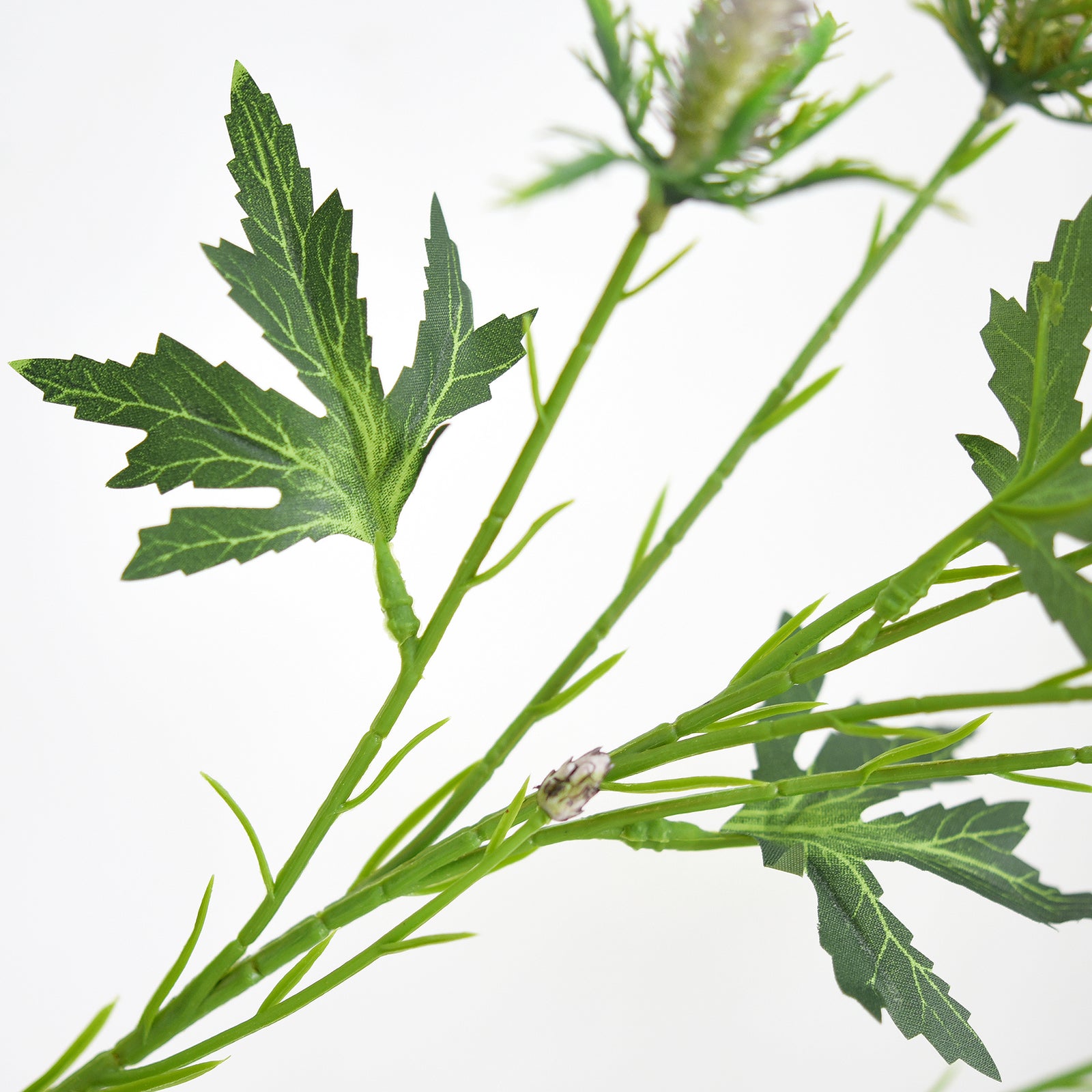 Gray-blue faux eryngium sea holly stems showing flower heads, branches and foliage.