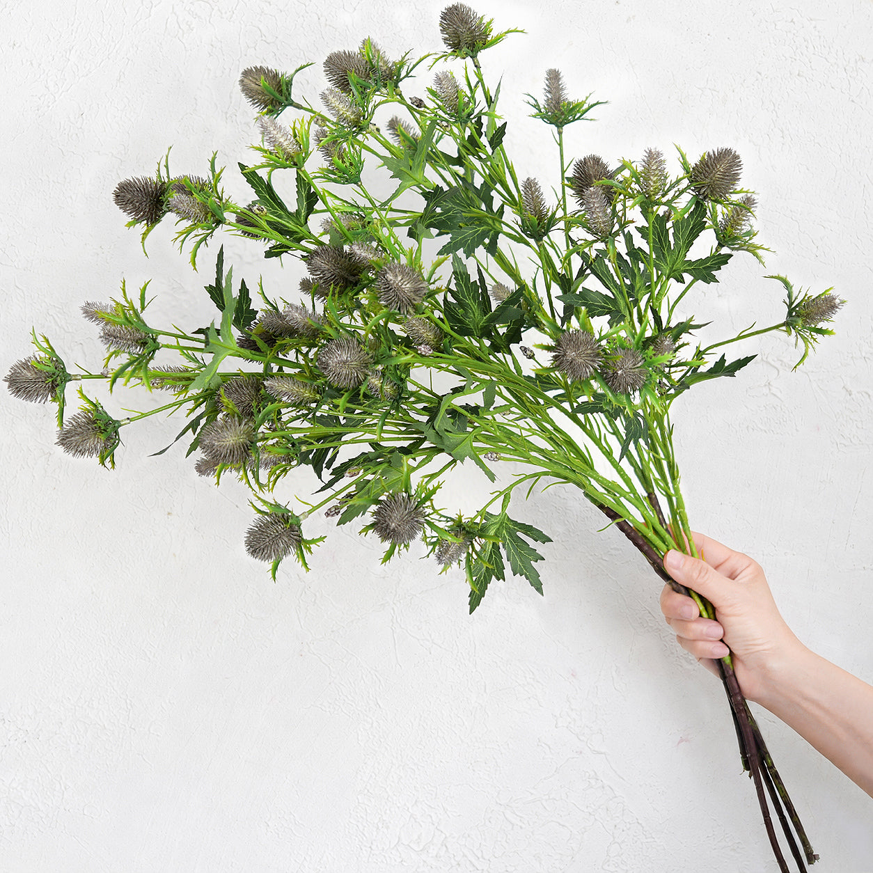 Close product view of gray-blue eryngium sea holly with muted blue-purple tones.