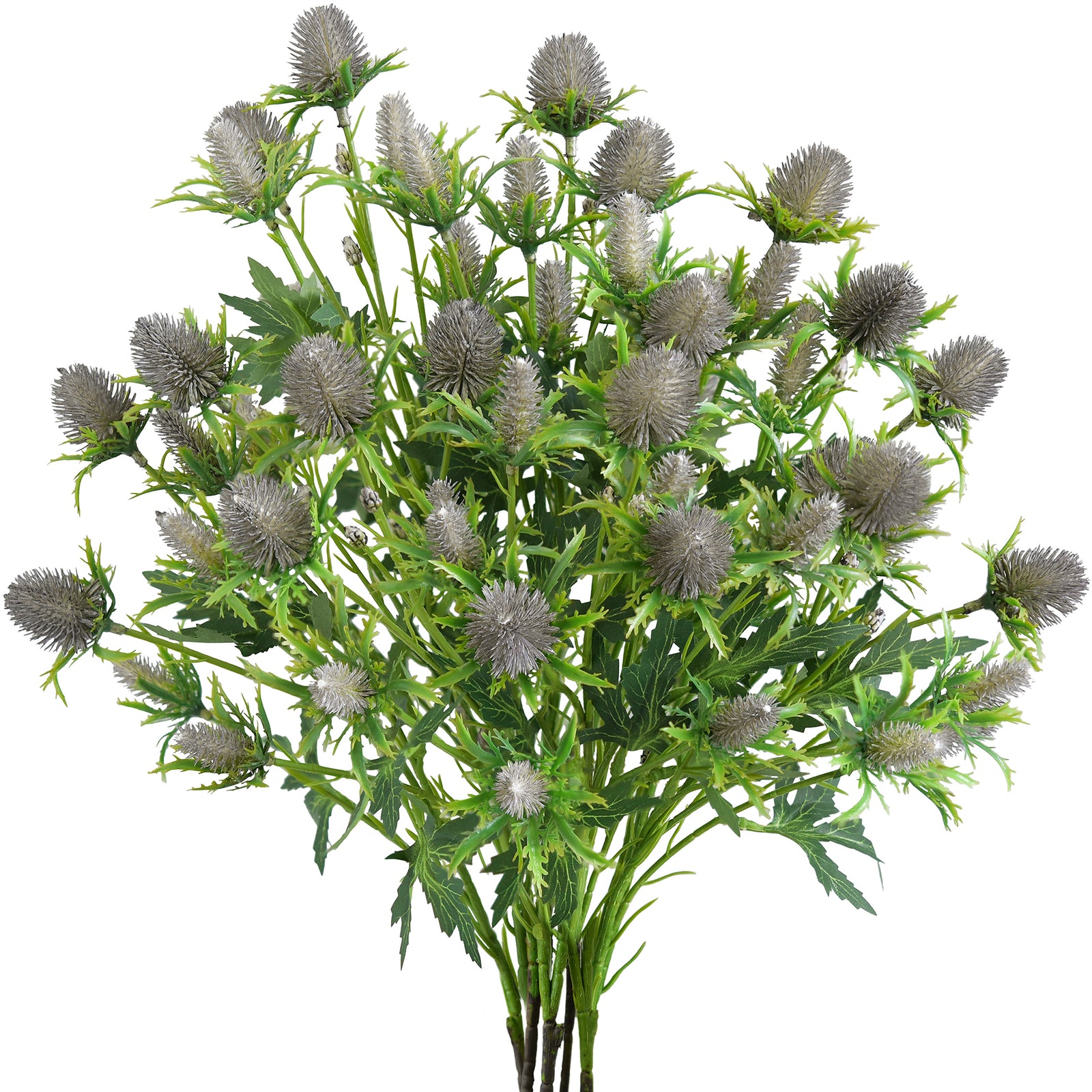 Gray-blue artificial sea holly stems on a light background, full stem view.