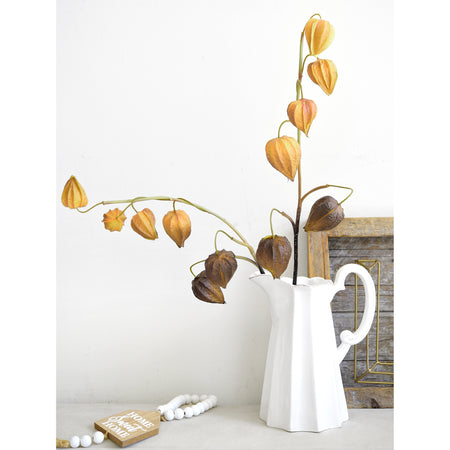 Three Harvest Bronze Chinese lantern stems in warm brown-gold tones.