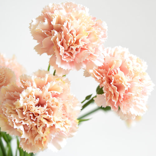 Pink Cream Blush Faux Carnation Flowers – 1 ft (29 cm) Tall, Realistic Silk Floral Decor for Weddings, Events, and Home Arrangements
