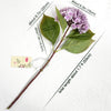 Translation missing: pt-PT.sections.featured_product.gallery_thumbnail_alt
