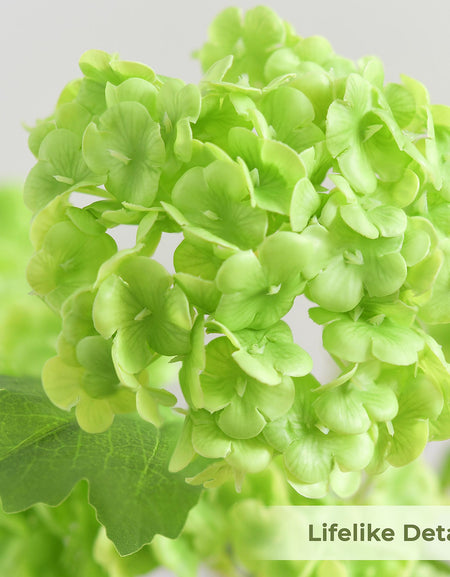 Close-up of lime green hydrangea petals showing soft real touch texture and clustered bloom detail.
