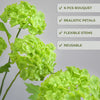 Translation missing: nl.sections.featured_product.gallery_thumbnail_alt
