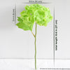 Translation missing: nl.sections.featured_product.gallery_thumbnail_alt
