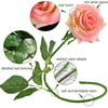Translation missing: pt-PT.sections.featured_product.gallery_thumbnail_alt
