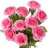 Magenta Pink