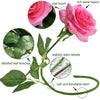 Translation missing: fr.sections.featured_product.gallery_thumbnail_alt
