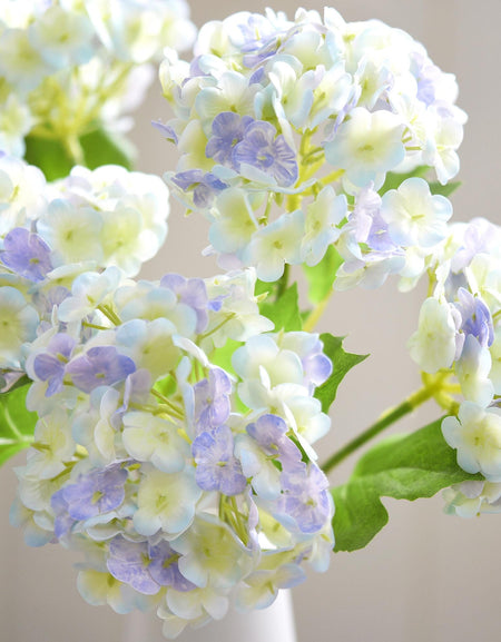 Close-up of periwinkle and white hydrangea petals showing soft real touch texture and blended pastel detail.