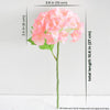 Translation missing: fr.sections.featured_product.gallery_thumbnail_alt
