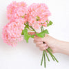 Translation missing: fr.sections.featured_product.gallery_thumbnail_alt
