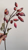 Dusty coral red clustered faux rosehip berry branch video