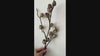 Antique Moss faux berry branch video showing green berry texture and flexible stem