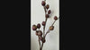 Weathered Russet faux berry branch video showing rust berry texture and flexible stem