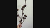 Deep Aubergine faux berry branch video showing dark purple berry texture and flexible stem