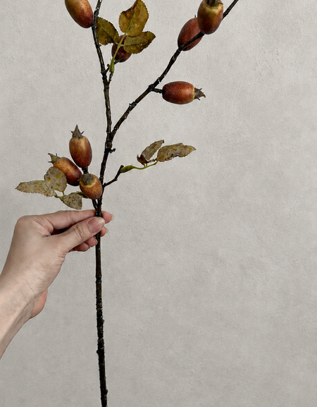 One rustic brown red artificial rosehip branch held against a light wall, showing the full stem.