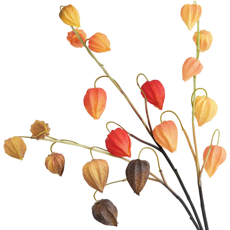 Mixed-color artificial Chinese lantern stems showing the full branching shape.