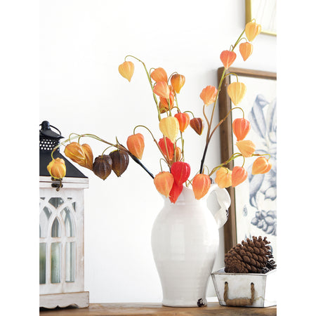 Three mixed Chinese lantern stems in red-orange, light orange and brown-gold tones.