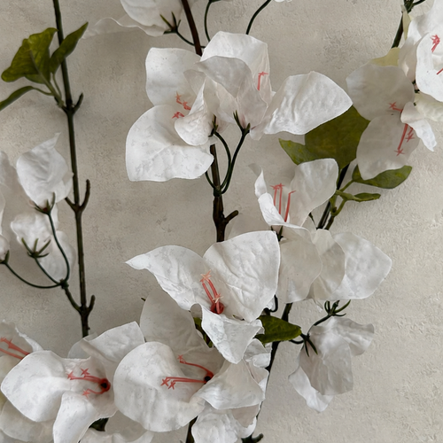 Close-up of Soft White artificial bougainvillea flowers and green leaves