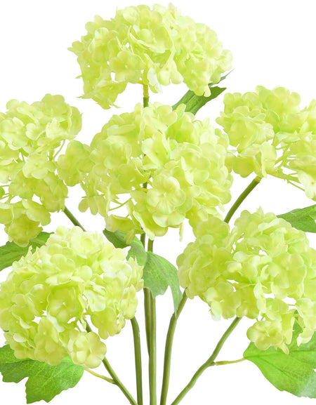 Six spring green real touch hydrangea stems with rounded blooms and green leaves on a white background.