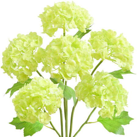 Six spring green real touch hydrangea stems with rounded blooms and green leaves on a white background.
