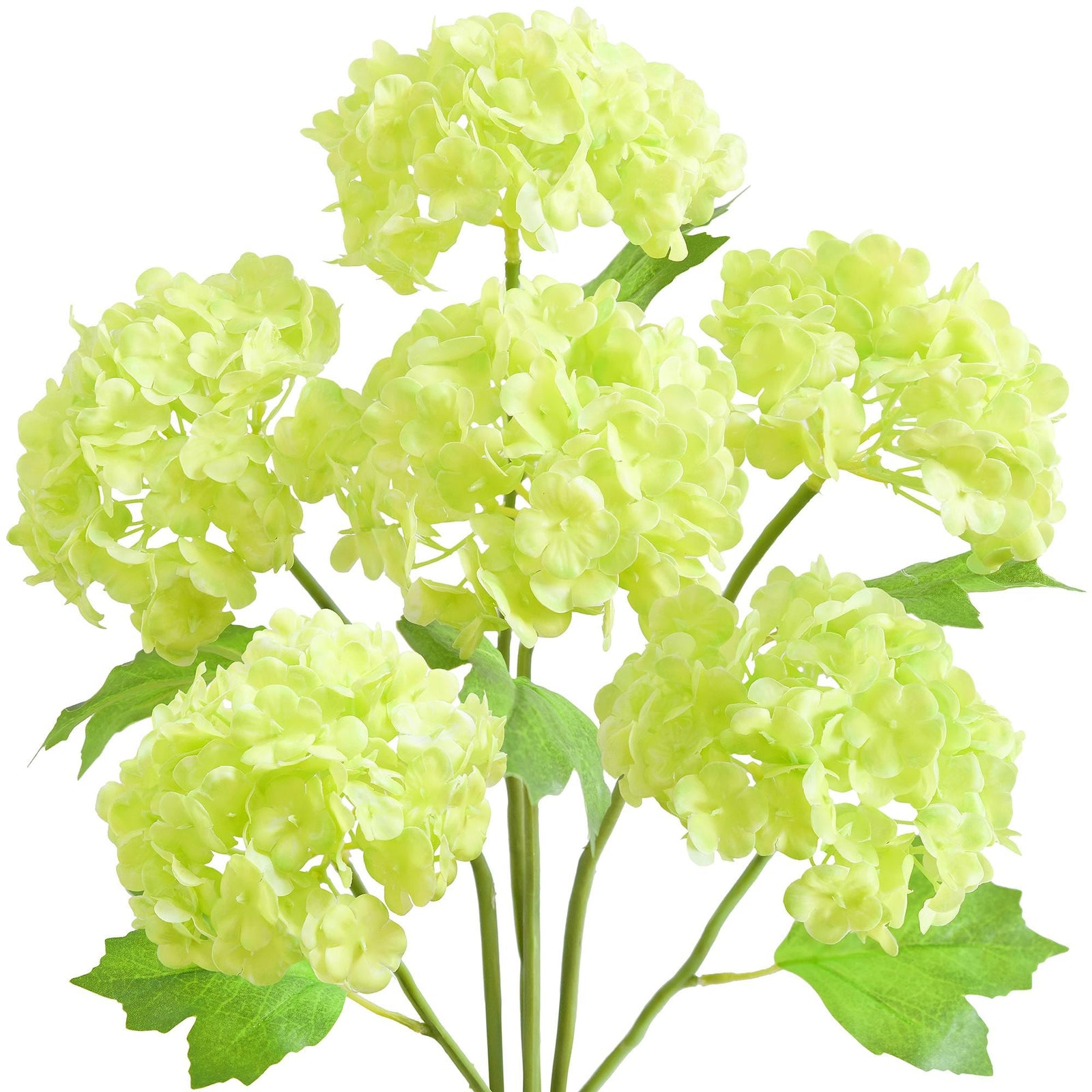 Six spring green real touch hydrangea stems with rounded blooms and green leaves on a white background.