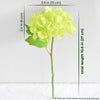 Translation missing: nl.sections.featured_product.gallery_thumbnail_alt
