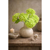 Translation missing: nl.sections.featured_product.gallery_thumbnail_alt
