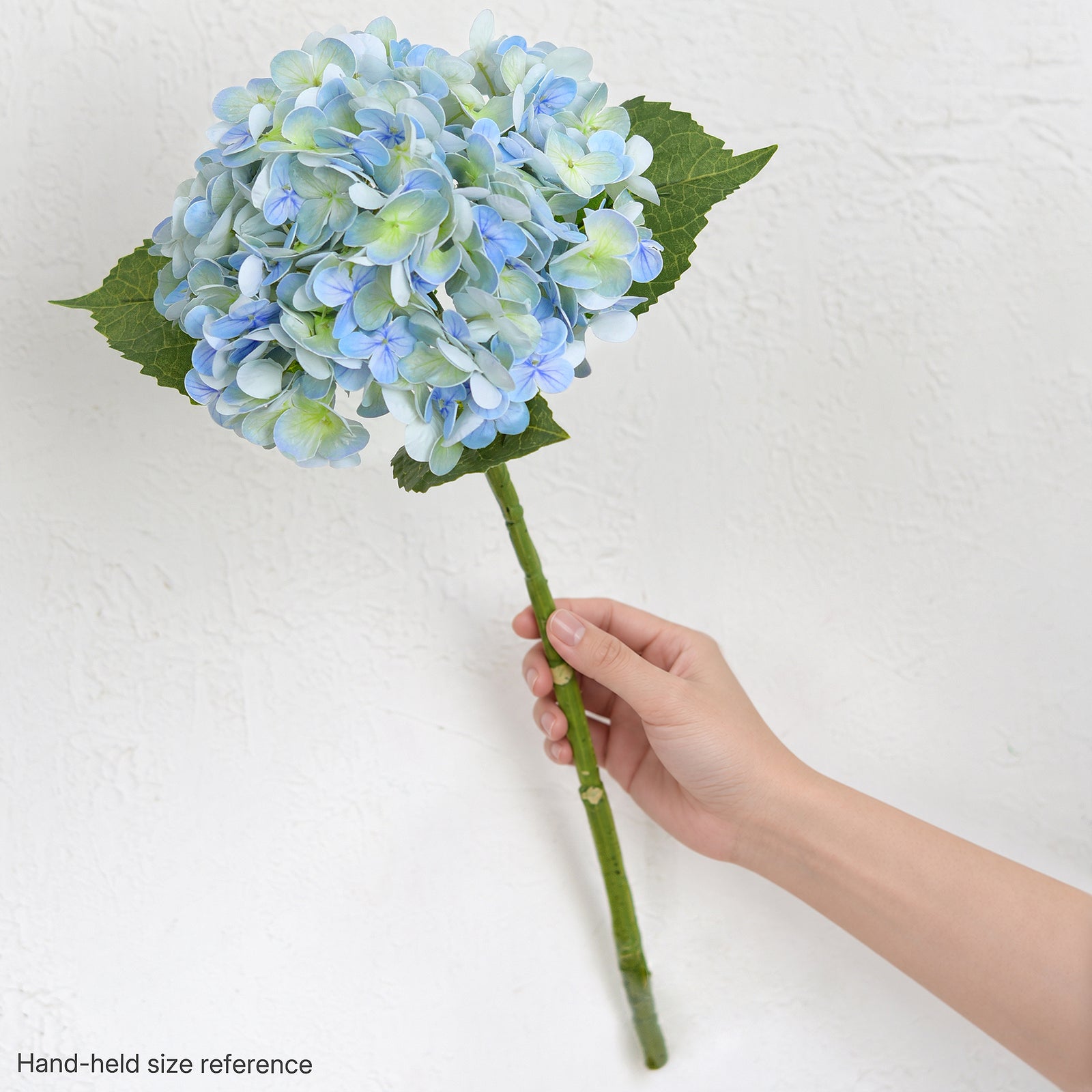 One vintage blue green hydrangea stem held in a hand against a white wall for scale.