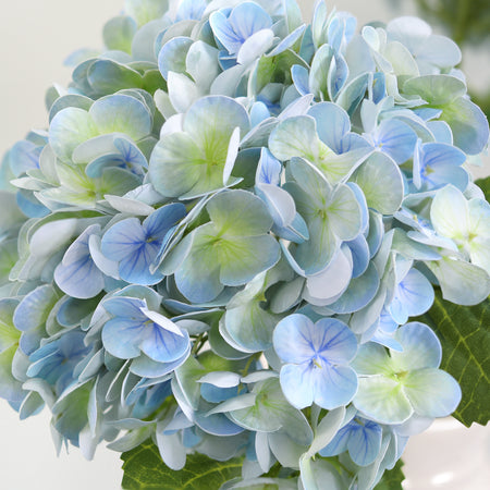 Close-up of vintage blue green hydrangea petals with pale blue edges and green centers.