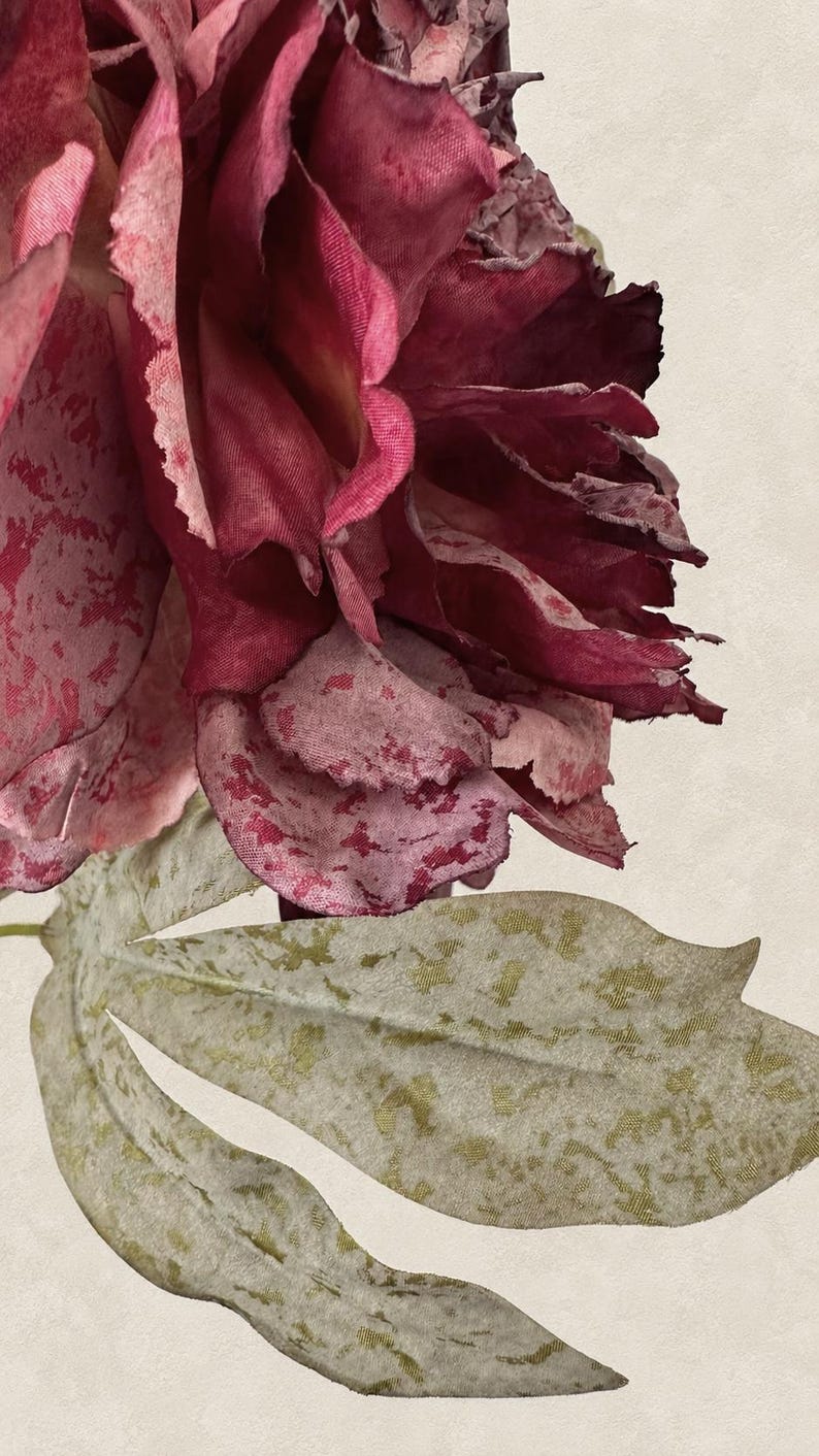 Close-up of dusty mauve peony petals with deeper shading and a mottled green leaf.