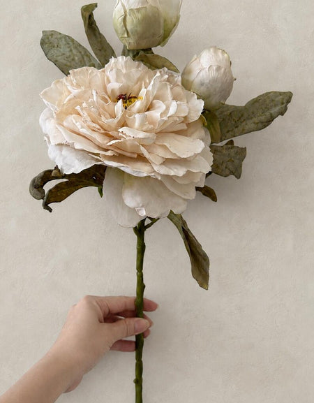 One ivory artificial peony stem with a large open flower, two buds and mottled green leaves on a white background.