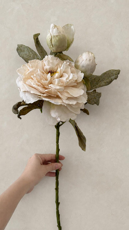 One ivory artificial peony stem with a large open flower, two buds and mottled green leaves on a white background.