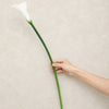 Translation missing: pt-PT.sections.featured_product.gallery_thumbnail_alt
