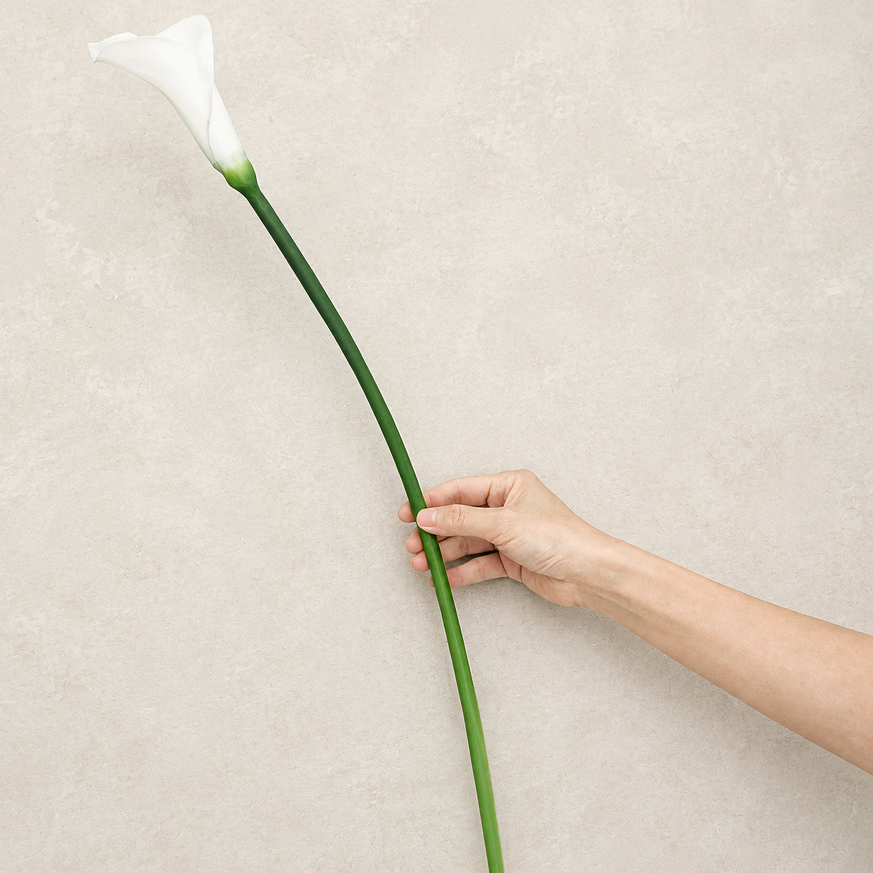 White artificial calla lily flowers with long bendable green stems