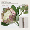 Translation missing: pt-PT.sections.featured_product.gallery_thumbnail_alt
