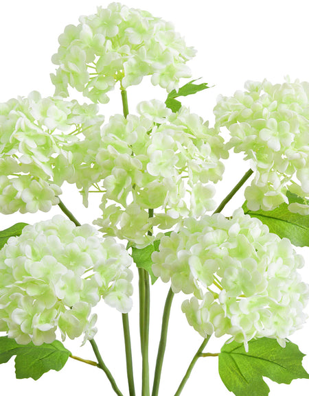 Six white and green real touch hydrangea stems with rounded blooms and green leaves on a white background.