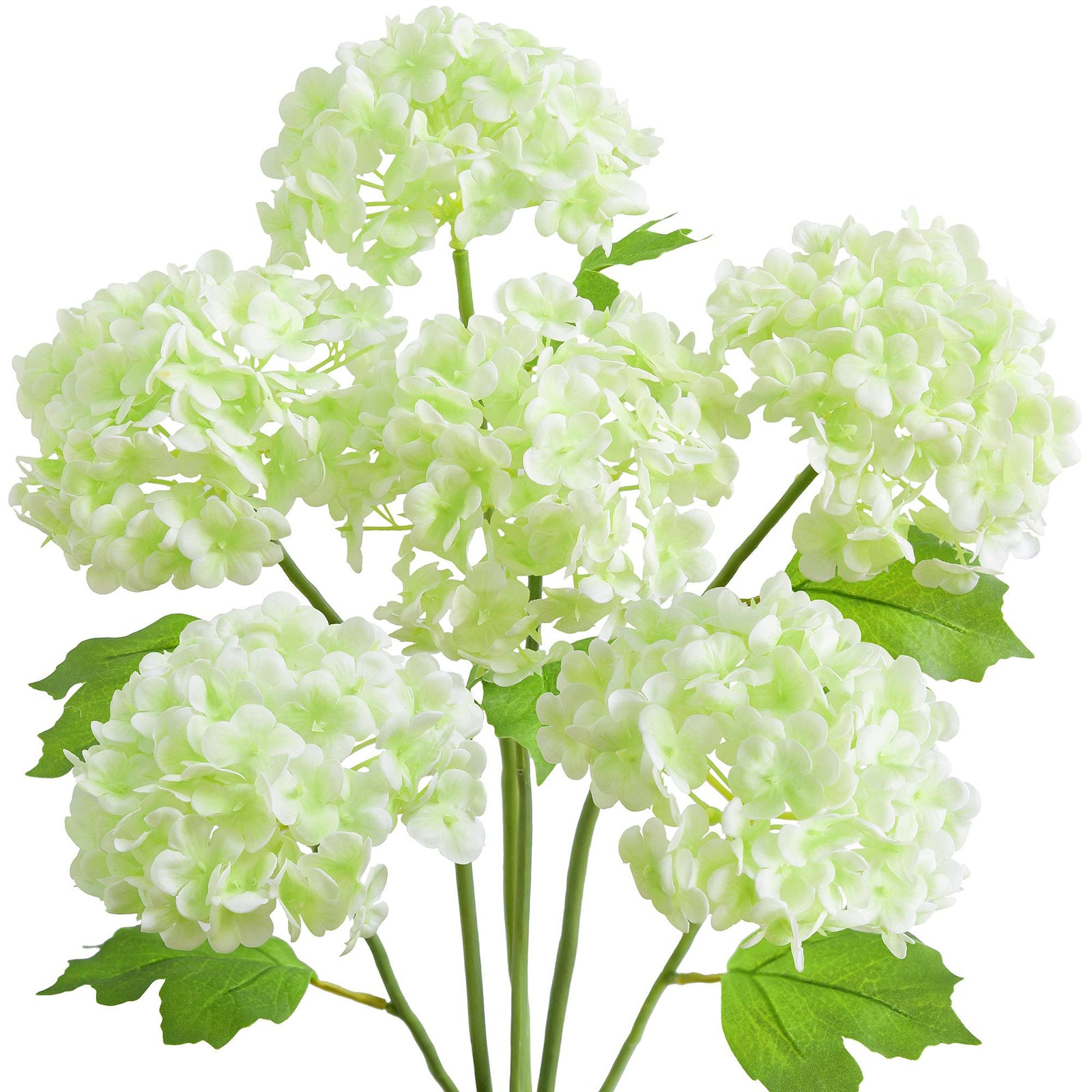 Six white and green real touch hydrangea stems with rounded blooms and green leaves on a white background.