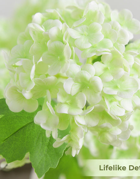 Close-up of white and green hydrangea petals showing soft real touch texture and clustered bloom detail.
