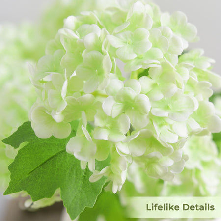 Close-up of white and green hydrangea petals showing soft real touch texture and clustered bloom detail.