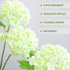 Translation missing: es.sections.featured_product.gallery_thumbnail_alt
