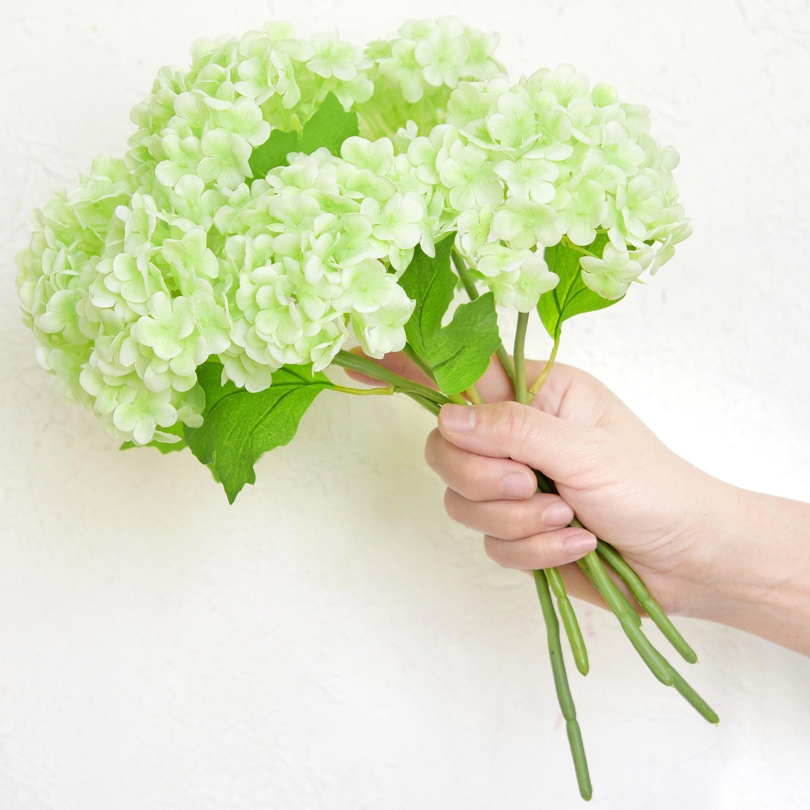 Hand holding six white and green real touch hydrangea stems to show bouquet size and scale.