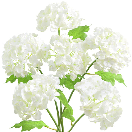 Six white real touch hydrangea stems with rounded blooms and green leaves on a white background.