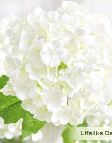 Close-up of white hydrangea petals showing soft real touch texture and clustered bloom detail.