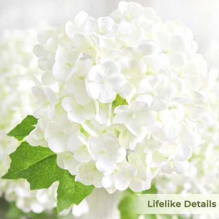 Close-up of white hydrangea petals showing soft real touch texture and clustered bloom detail.