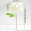 Translation missing: nl.sections.featured_product.gallery_thumbnail_alt
