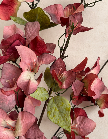 Close-up of Wine Burgundy artificial bougainvillea flowers and green leaves