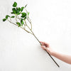 Translation missing: pt-PT.sections.featured_product.gallery_thumbnail_alt
