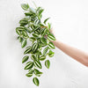 Translation missing: es.sections.featured_product.gallery_thumbnail_alt
