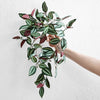 Translation missing: pt-PT.sections.featured_product.gallery_thumbnail_alt

